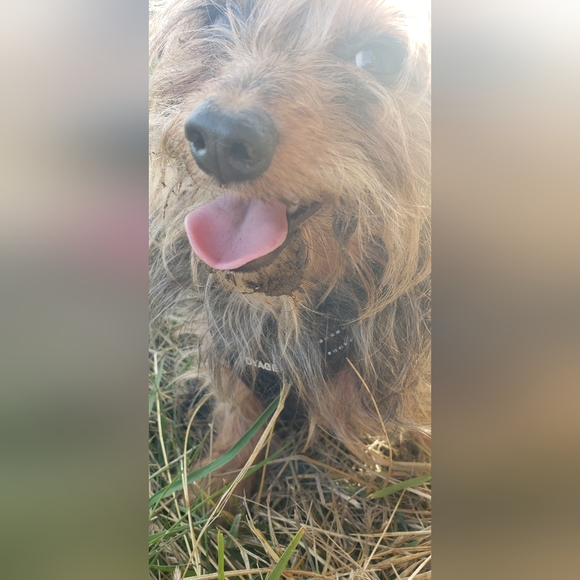 🕊🌾 Choose Kindly - Picture 3 of 4